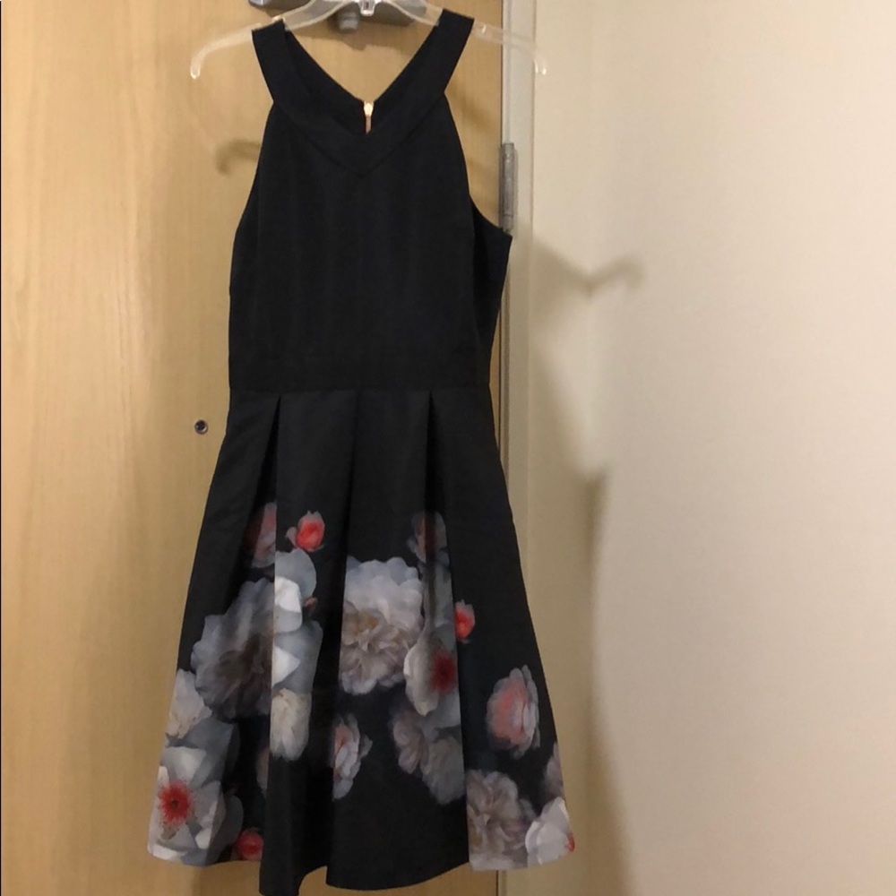 Gorgeous Ted Baker Chelsea Skater Dress